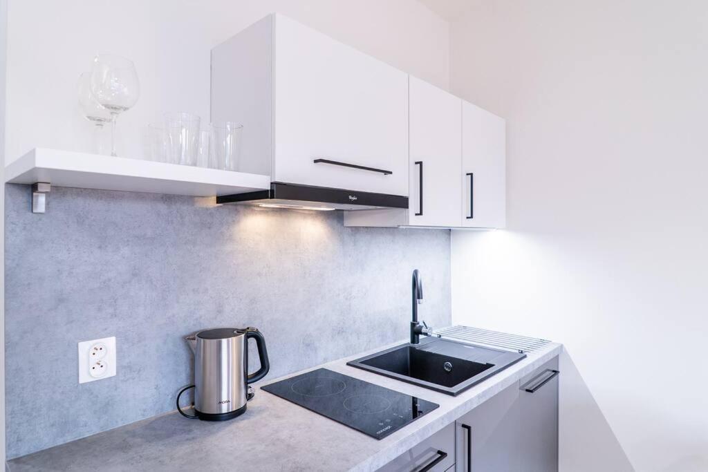 Brno Center View Apartement B - With Self Check-In מראה חיצוני תמונה
